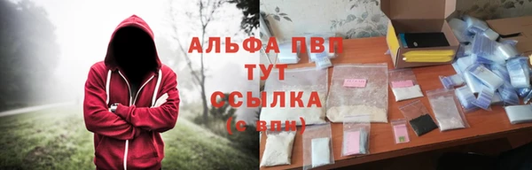 СК Михайловск