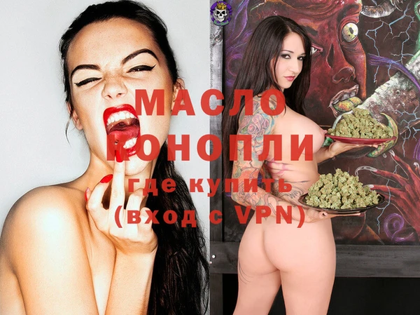 молекула духа Билибино