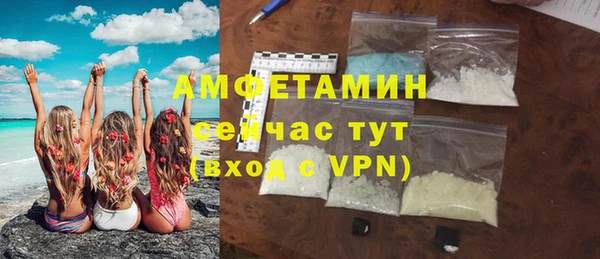 мдпв Михайлов