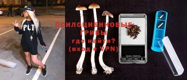 мдпв Михайлов