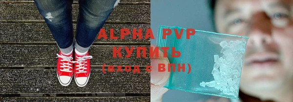 прущие грибы Мегион