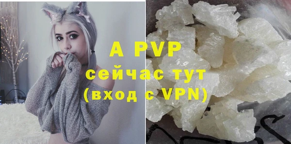 СК Михайловск