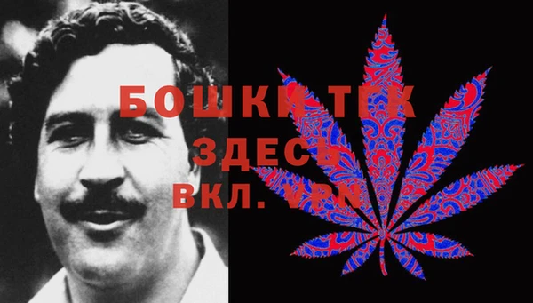 мдпв Михайлов