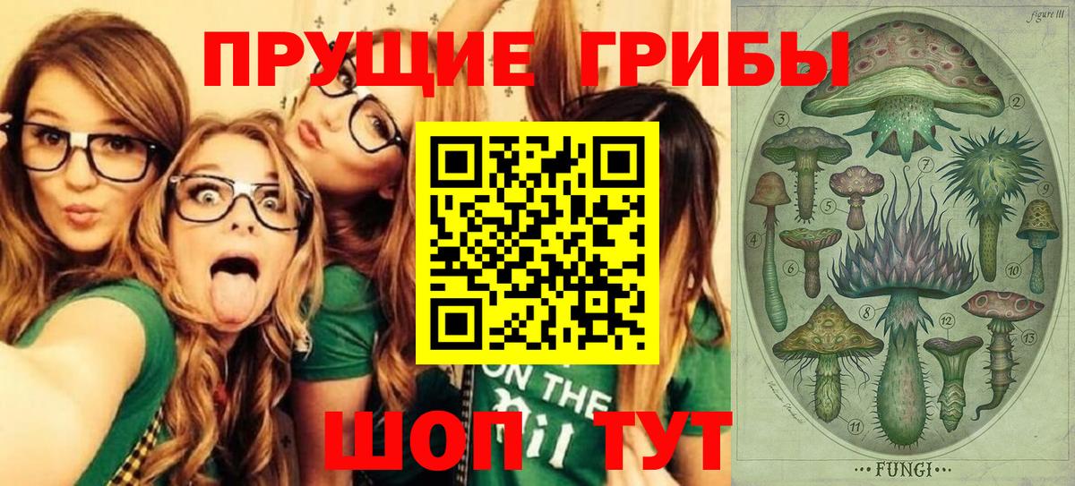 Люберцы  Псилоцибиновые грибы ЛСД  Вход с VPN 