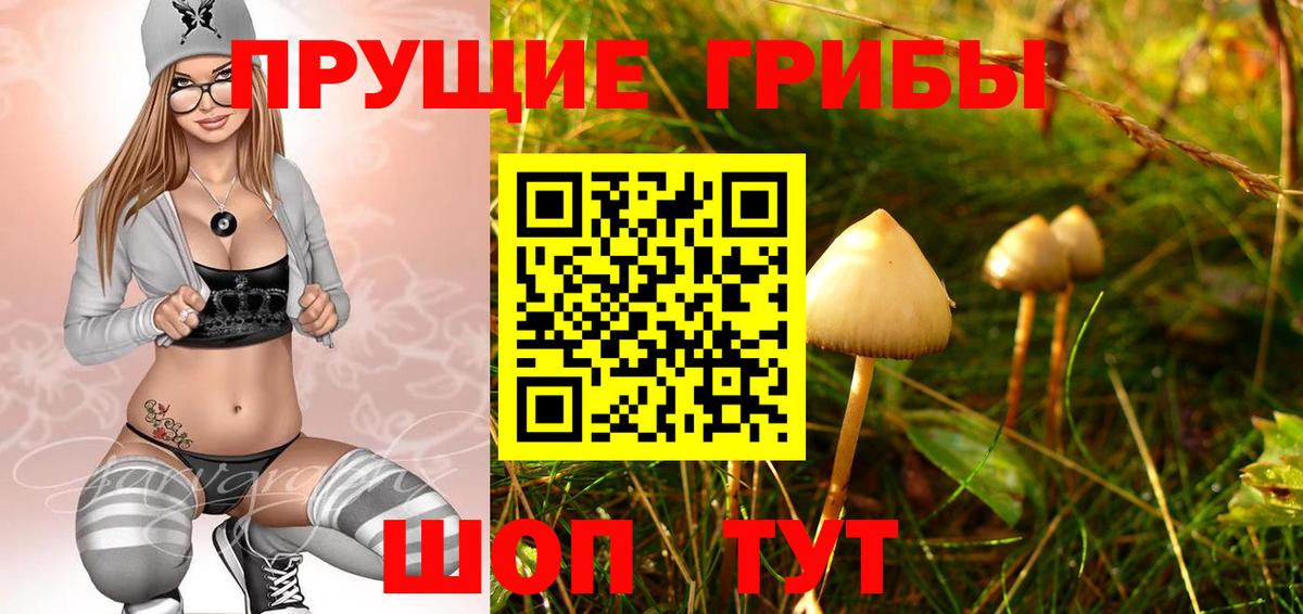 Псилоцибиновые грибы MAGIC MUSHROOMS Люберцы